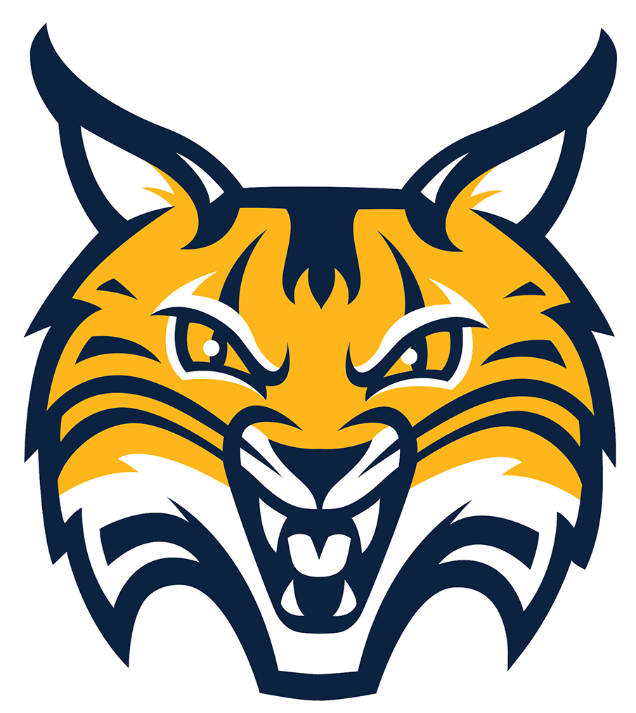 Quinnipiac Bobcats 2019-Pres Alternate Logo v3 t shirts iron on transfers